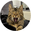 TABATAKA profile picture